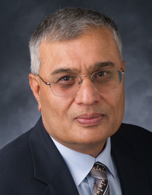 Profile image of Anand Vijh